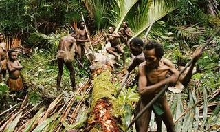 Bộ tộc nào ở Indonesia từng có tục săn đầu người và ăn thịt người?