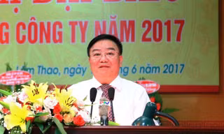 Ông Nguyễn Anh Dũng, Chủ tịch Tập đoàn hoá chất