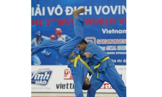 Trở về cội nguồn