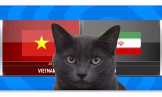 ‘Mèo tiên tri nước Anh’ dự đoán tuyển Việt Nam thua Iran
