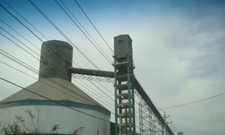 Sống trong ô nhiễm, dài cổ chờ di dời