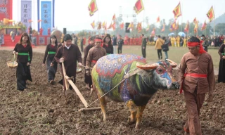 Người dân đeo khẩu trang xem 'Vua' đi cày khai hội Tịch điền Đọi Sơn