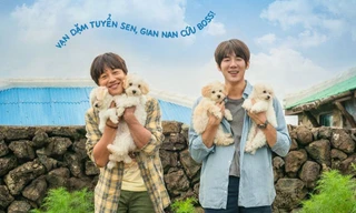Phim hay chiếu rạp: Yoo Yeon Seok, Cha Tae Hyun tìm nhà cho “boss cưng”