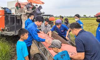 Hà Tĩnh: Đoàn viên thanh niên ra quân tham gia hỗ trợ người dân chống bão Yagi