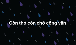 Giữa diễn biến phức tạp của dịch, bạn thuộc team "lật tập" hay chờ công văn "lật kèo"?