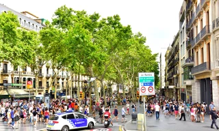 Hà Nội nở rộ phố đi bộ: Bài học từ những phố đi bộ nổi tiếng thế giới