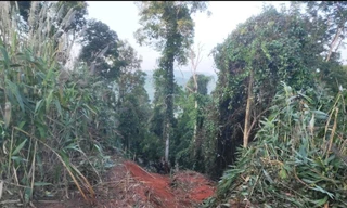 Tin mới vụ xe tải lao xuống vực làm 6 người chết ở Gia Lai