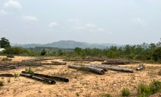 Gỗ tang vật 10 năm chờ thanh lý, bị mục nát