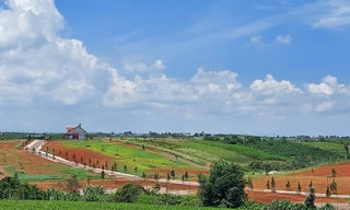 Chuyển cơ quan điều tra làm rõ vi phạm đất đai một huyện ở Lâm Đồng 