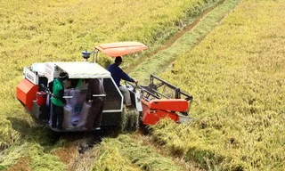 Phải bàn giao trên thực địa cho từng địa phương