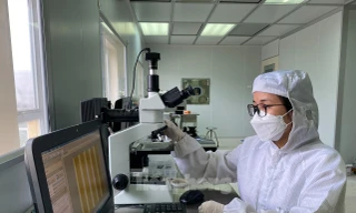 Giành học bổng của Nhật bản với nghiên cứu chống nóng, bảo vệ môi trường