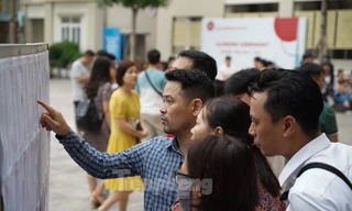 Trường THPT Chuyên Ngoại ngữ công bố điểm chuẩn trúng tuyển lớp 10