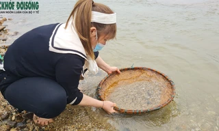 Đổ xô đi đào đá quý ở Yên Bái vì... tin đồn trên mạng