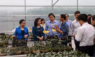 Đoàn nghe giới thiệu về mô hình trồng lan Hồ Điệp 