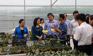 Đoàn nghe giới thiệu về mô hình trồng lan Hồ Điệp 