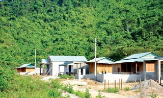 Làng Thanh niên lập nghiệp Thạnh Mỹ những ngày đầu mới thành lập. - Ảnh: Nguyễn Thành