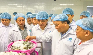 Thủ tướng Nguyễn Xuân Phúc thăm Tập đoàn Minh Phú-Doanh nghiệp xuất khẩu tôm lớn nhất Việt Nam và hàng đầu thế giới