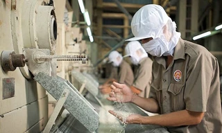 Kiểm tra chất lượng gạo Việt Nam phục vụ xuất khẩu gạo. Ảnh: DNVN