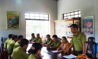 Ngành kiểm lâm Đắk Lắk họp triển khai bảo vệ, quản lý rừng