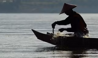 Thao túng Mekong