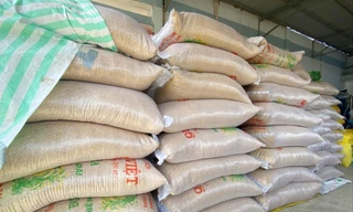 Một điểm tập kết lúa của Cty Thiên Đàng ở An Giang. ẢNH: NN