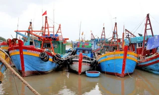 Xót xa hàng loạt tàu cá nằm bờ vì thua lỗ