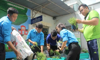 Thanh niên quận 3 tạo dựng mảng xanh tại cơ quan