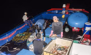 Một phiên đánh cá đêm của ngư dân xóm Ghành Cả tại đảo Xà Cừ, quần đảo Hoàng Sa. Ảnh: Văn Chương