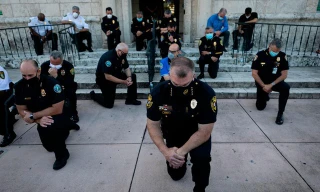 Dị ứng cảnh sát