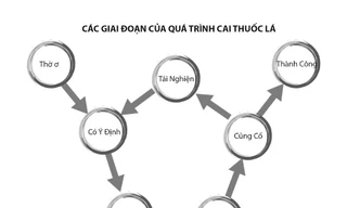 Quá trình thay đổi từ nhận thức đến hành vi trong cai nghiện thuốc lá