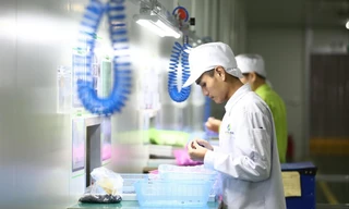 Với những ưu thế về kỹ năng, kinh nghiệm, những người đi làm việc ở nước ngoài được xem là nguồn lao động có tay nghề, nhưng sử dụng chưa hiệu quả