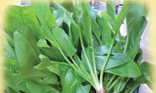 Ảnh minh họa: Internet