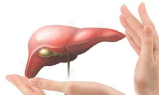 Ảnh minh họa: Internet