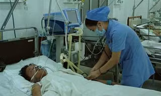 Ảnh minh họa: Internet