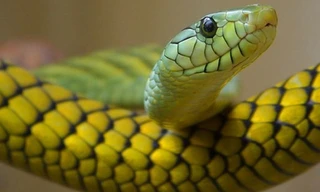 Ảnh minh họa: Internet