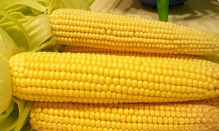 Ảnh minh họa: Internet