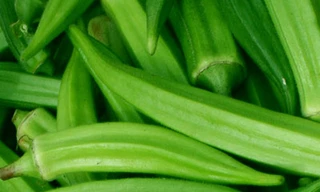 Ảnh minh họa: Internet