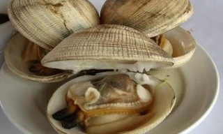 Ảnh minh họa: Internet