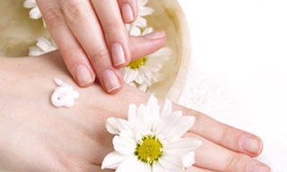 Ảnh minh họa: Internet