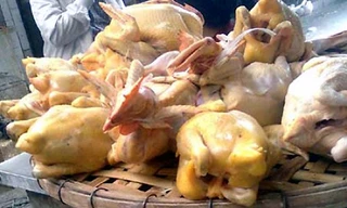 Ảnh minh họa: Internet