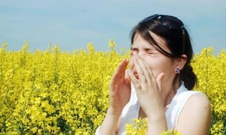 Ảnh minh họa: Internet