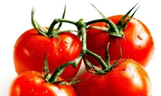 Ảnh minh họa: Internet