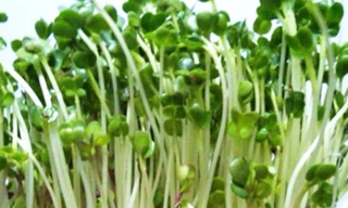 Ảnh minh họa: Internet