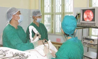 Ảnh minh họa: Internet