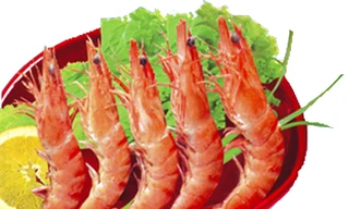 Ảnh minh họa: Internet