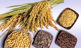 Ảnh minh họa: Internet