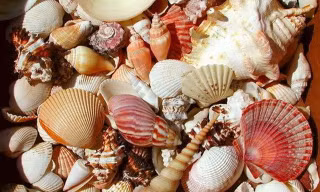 Ảnh minh họa: Internet