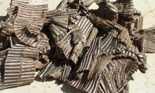 Ảnh minh họa: Internet