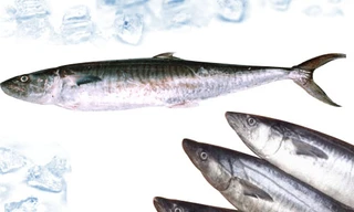 Ảnh minh họa: Internet