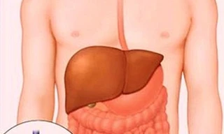 Nang gan có nguy hiểm?